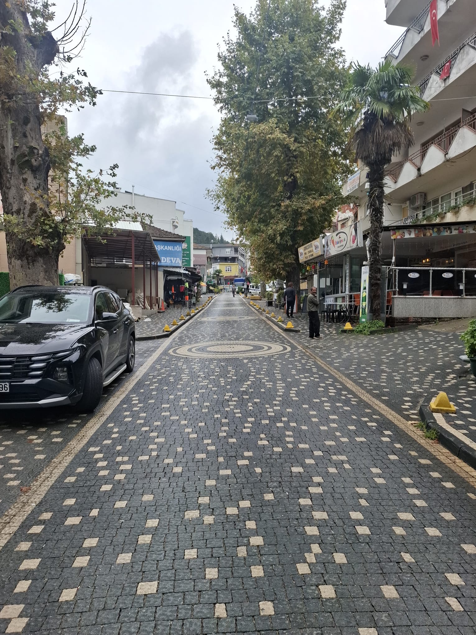 Yalova Termal Cadde ve Yürüyüş Yolu